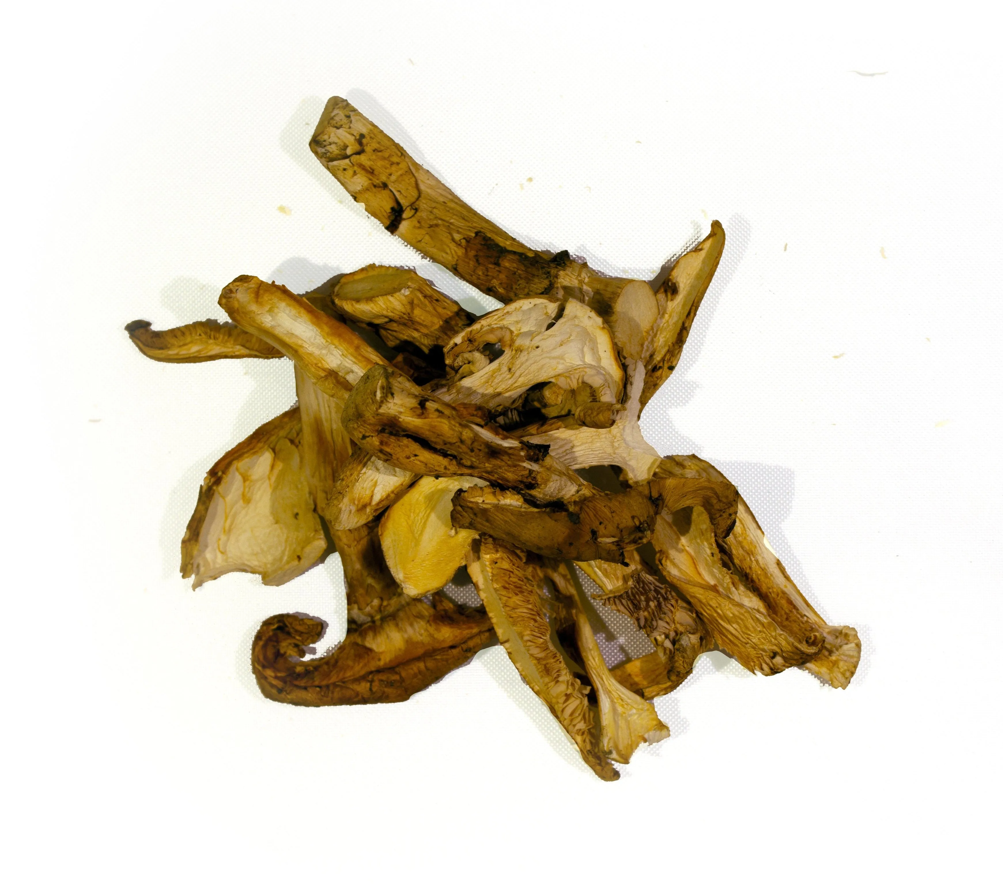 100% Pure Matsutake Powder